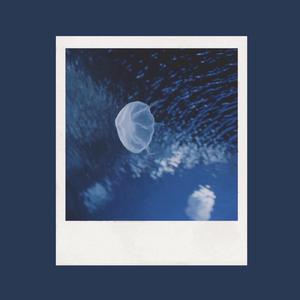 美女办公室坐脸调教视频VK
